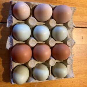 eggs