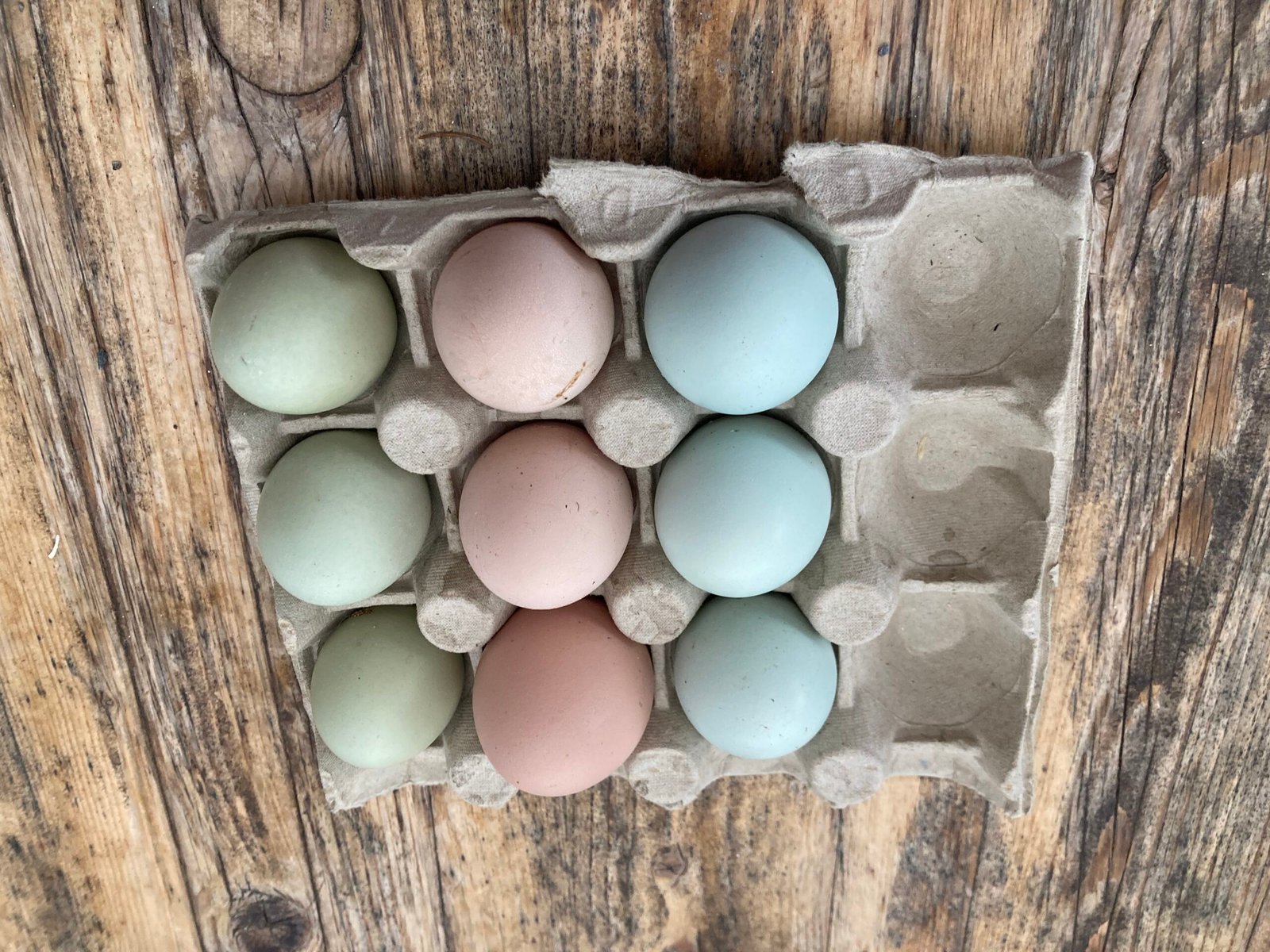 IMG_6306 eggs