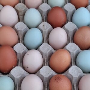Fresh eggs Orderform