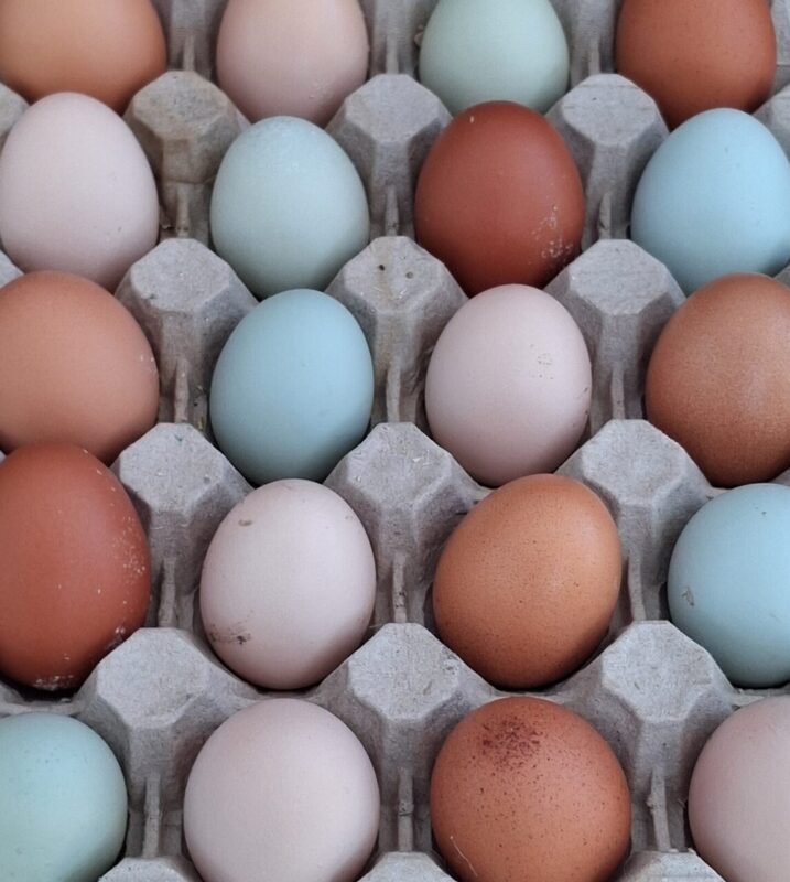 Farm Fresh Eggs